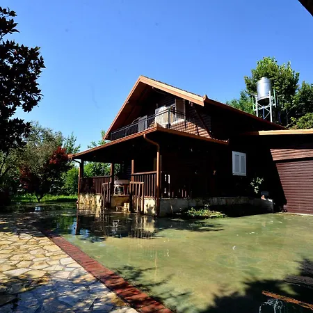 Ferma Agroturistike Gold Villa *